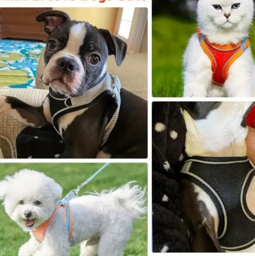 > Colorful Dog Harness